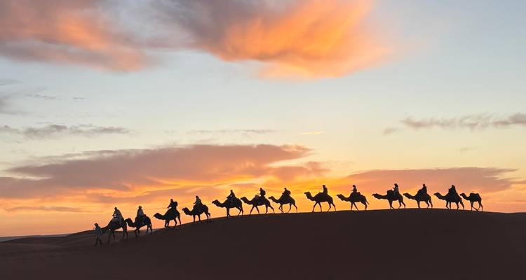 Silhouetted line of camel riders traverses a dune under vibrant sunset clouds.