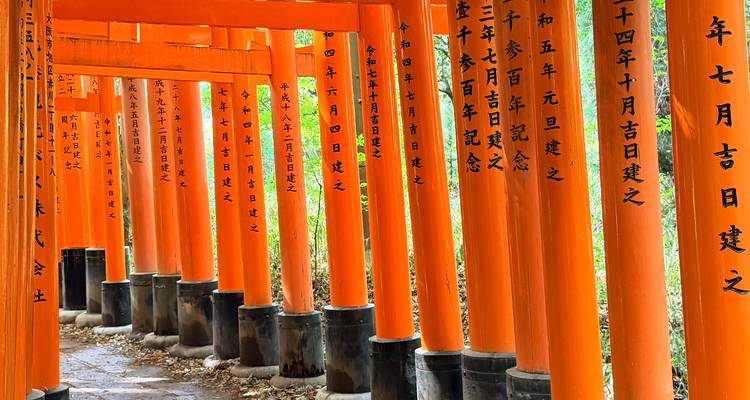 Reihe von leuchtend orangen Torii-Toren mit japanischer Kalligrafie am Fushimi Inari-Schrein.
