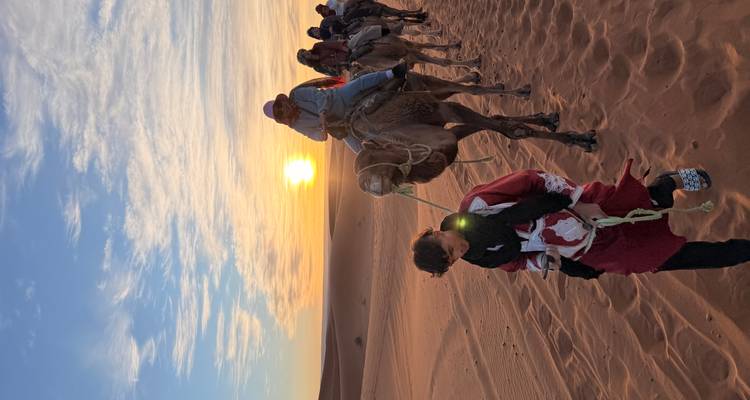 Camel caravan led by a guide marches across golden dunes at sunrise with bright sun on horizon.