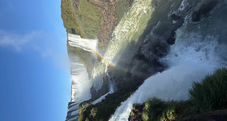 Les spectaculaires chutes d'Iguazu cascadent par-dessus des falaises luxuriantes avec un arc-en-ciel éclatant qui traverse la brume.
