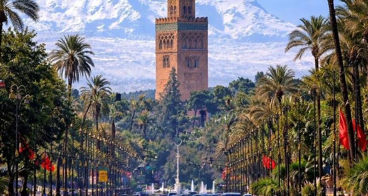 Vue emblématique le long d'une avenue bordée de palmiers à Marrakech en direction de la Mosquée Koutoubia avec fontaines, personnes et les montagnes de l'Atlas aux sommets enneigés au-delà.