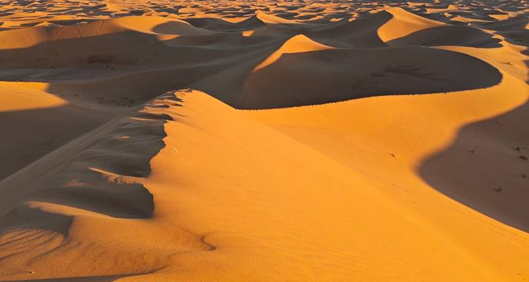 Vast orange sand dunes with dramatic shadows under late-day sunlight