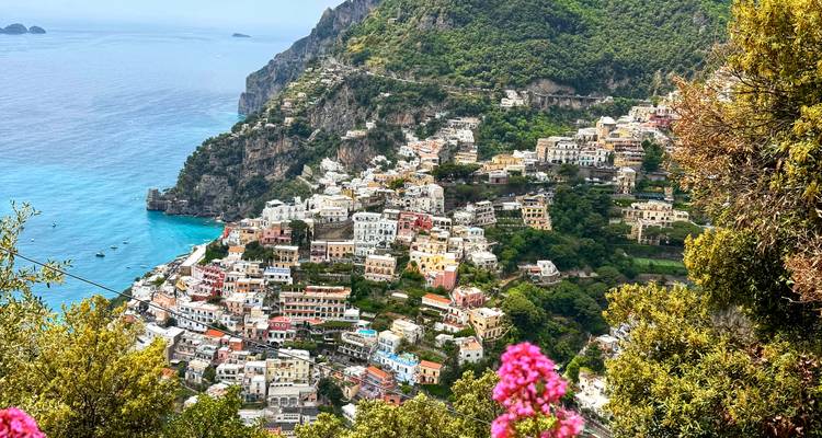 Vue panoramique de carte postale des bâtiments pastel de Positano en cascade vers la mer Tyrrhénienne d'un bleu éclatant avec des fleurs roses au premier plan.