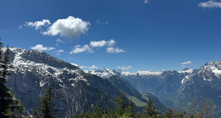 Picos alpinos cubiertos de nieve y un profundo valle bajo un cielo azul brillante con pinos en primer plano.