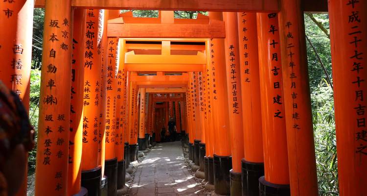 Túnel interminable de brillantes puertas torii de color bermellón adornadas con caligrafía japonesa