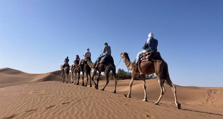 Karawane von Kamelen, die Reiter über golden glänzende Sanddünenkämme unter klarem Himmel transportieren.