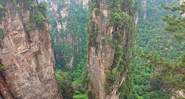 Pilares de arenisca gigantes cubiertos de vegetación verde en el Parque Nacional Forestal de Zhangjiajie