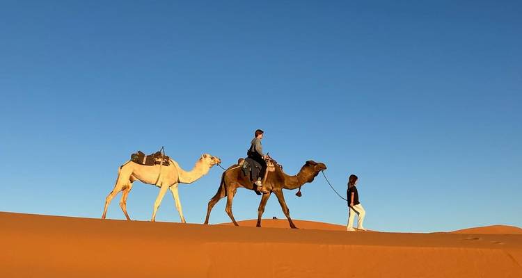 Les voyageurs chevauchant des chameaux le long de la crête des dunes dorées du Sahara au coucher du soleil