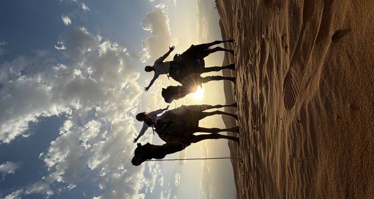 Jinetes silueteados en camellos adoptan poses alegres contra una puesta de sol desértica.
