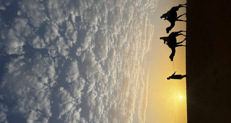 Siluetas de un guía conduciendo a dos camellos cruzando una cresta desértica al amanecer con un cielo dramático lleno de nubes.