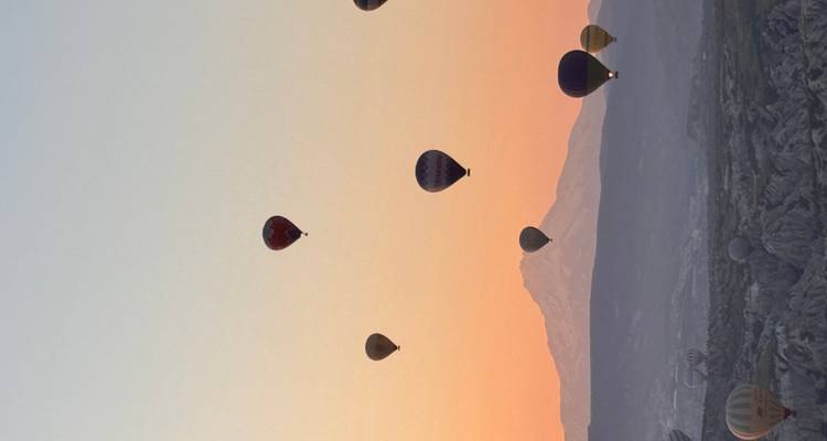 Verschillende kleurrijke luchtballonnen drijven bij zonsopgang boven een rotsachtig dal, terwijl een besneeuwde berg zich aftekent tegen een pastelkleurige hemel.