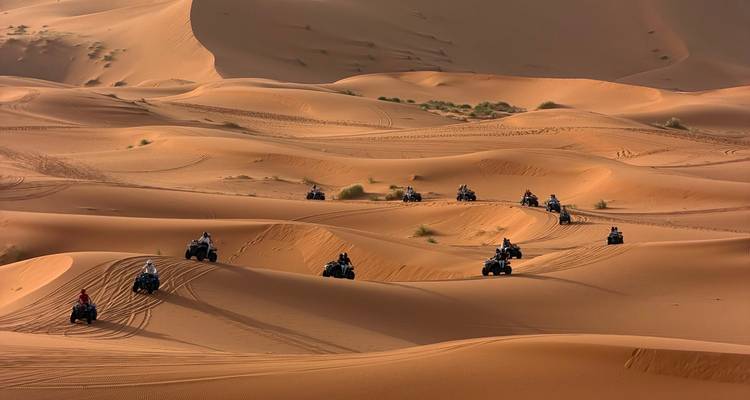 Des dizaines de cavaliers sur des quads traçant des chemins à travers les dunes de sable doré ondulantes sous une lumière grise et couverte.