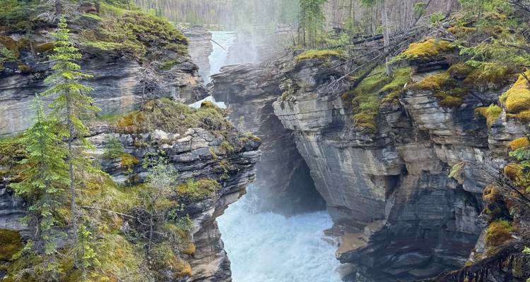 Dramatische canyon met een krachtige waterval die tussen steile rotsanden met mos en naaldbomen naar beneden stort.
