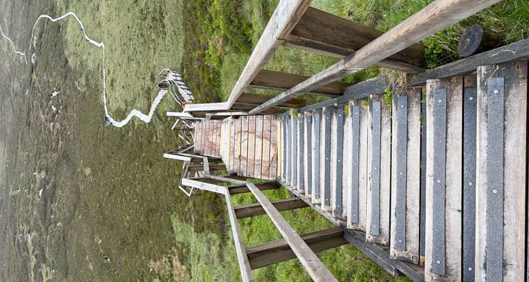 Un long escalier en bois descend à travers des collines couvertes de bruyère vers l'horizon.