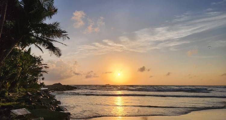 Le soleil doré se couche sur les vagues douces et le rivage tropical bordé de palmiers.