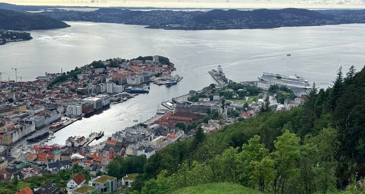 Vista panorámica desde una ladera sobre la ciudad de Bergen, su puerto, cruceros y los fiordos circundantes bajo cielos nublados.