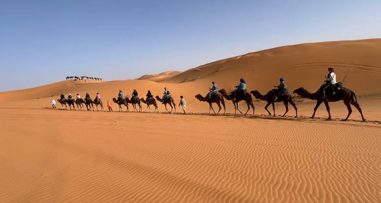 Long convoi de chameaux en file indienne traversant les dunes ondulées du désert sous un ciel bleu pâle.
