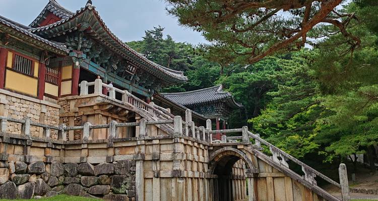 Les élégants bâtiments en bois du temple avec des avant-toits peints ornementés nichés parmi les pins du complexe de Bulguksa.
