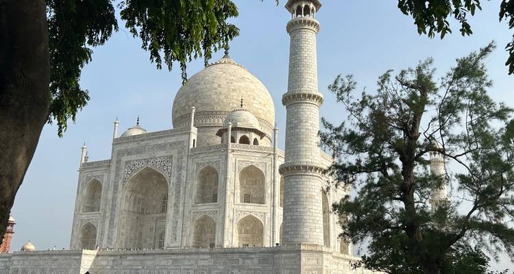 Vista clásica del mausoleo Taj Mahal de mármol blanco enmarcado por árboles contra un cielo despejado.