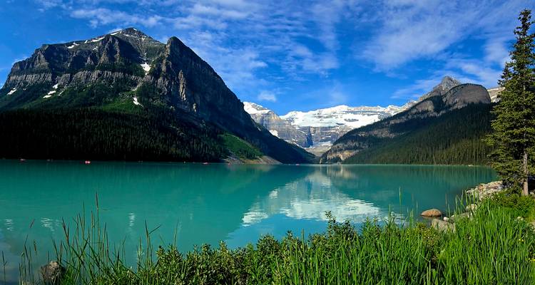 Las aguas turquesas icónicas del Lago Louise reflejan los picos nevados circundantes y el bosque.