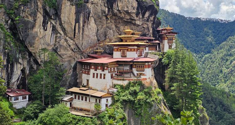 Le monastère emblématique de la Tanière du Tigre s'accroche à une falaise à pic entourée d'une forêt verte luxuriante
