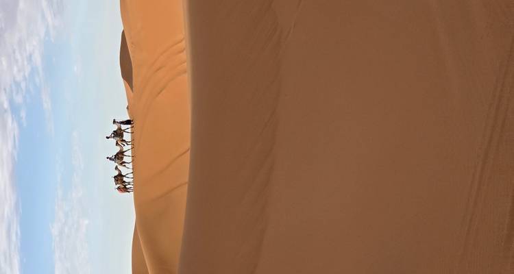 Caravane de chameaux avec cavaliers se détachant en silhouette sur les imposantes dunes orange du Sahara.