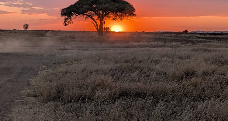 Lebhafter orangefarbener Sonnenuntergang über der afrikanischen Savanne mit einem vereinzelten Akazienbaum, der sich gegen den leuchtenden Himmel abzeichnet.