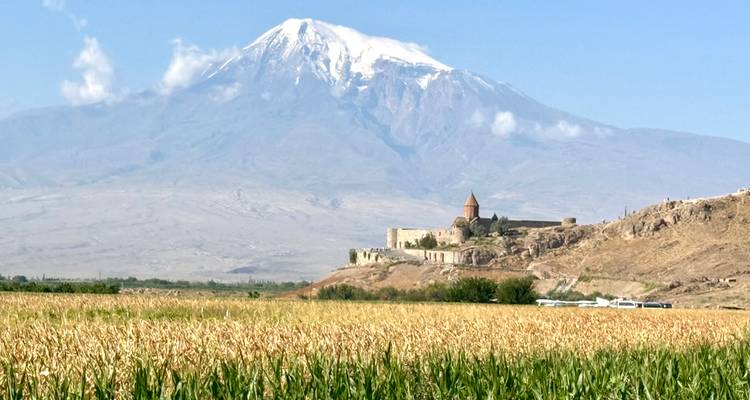 Golden cornfield leading to Khor Virap monastery with majestic snow-capped Mount Ararat behind.
