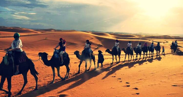 Lange Karawane von Touristen, die auf Kamelen über goldene Sahara-Dünen reiten, die von dramatischem Sonnenuntergangslicht beleuchtet werden.