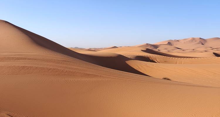 Vista panorámica de dunas de arena dorada en el Desierto del Sahara con texturas onduladas bajo un cielo azul despejado.