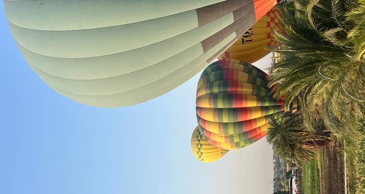 Des montgolfières colorées s'élèvent au-dessus des champs verdoyants et des palmiers dans la douce lumière matinale de Louxor.