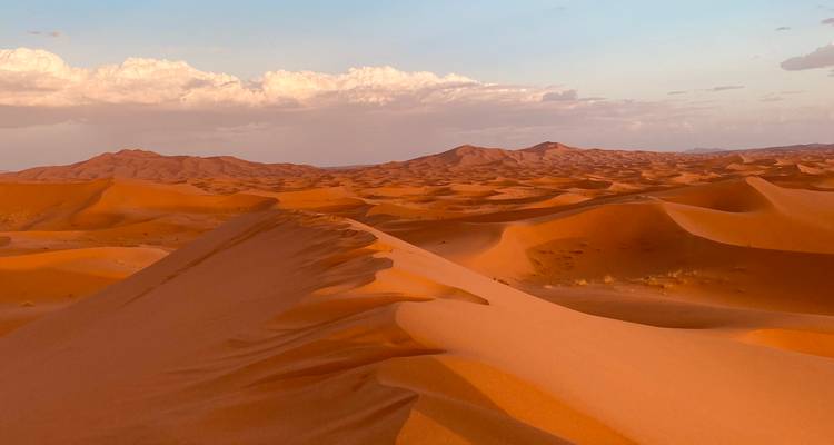 Die sanft gewellten orangefarbenen Dünen der Sahara erstrecken sich zum Horizont unter weichem Abendlicht und pastellfarbenen Wolken.