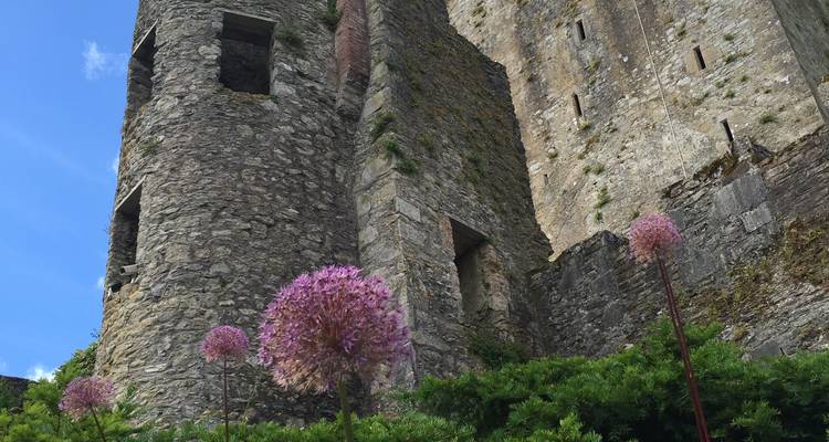 Oude stenen kasteeltorens met bloeiende bloemen op de voorgrond.