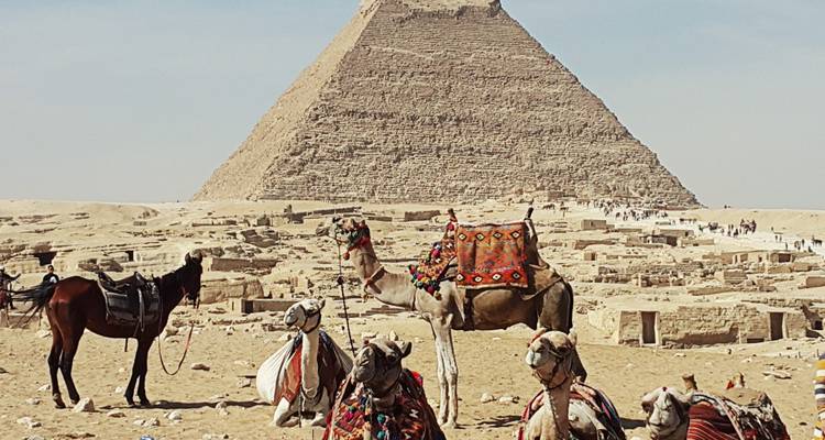 Les merveilles des pharaons - Timeless Tours  10