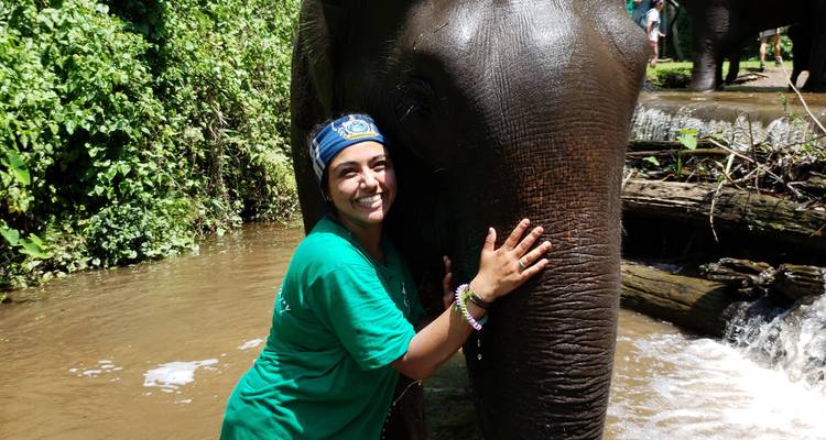 Tribus des collines du nord de la Thaïlande : Conservation de l'environnement, éducation et Treks à dos d'éléphant - GIVE Volunteers 8
