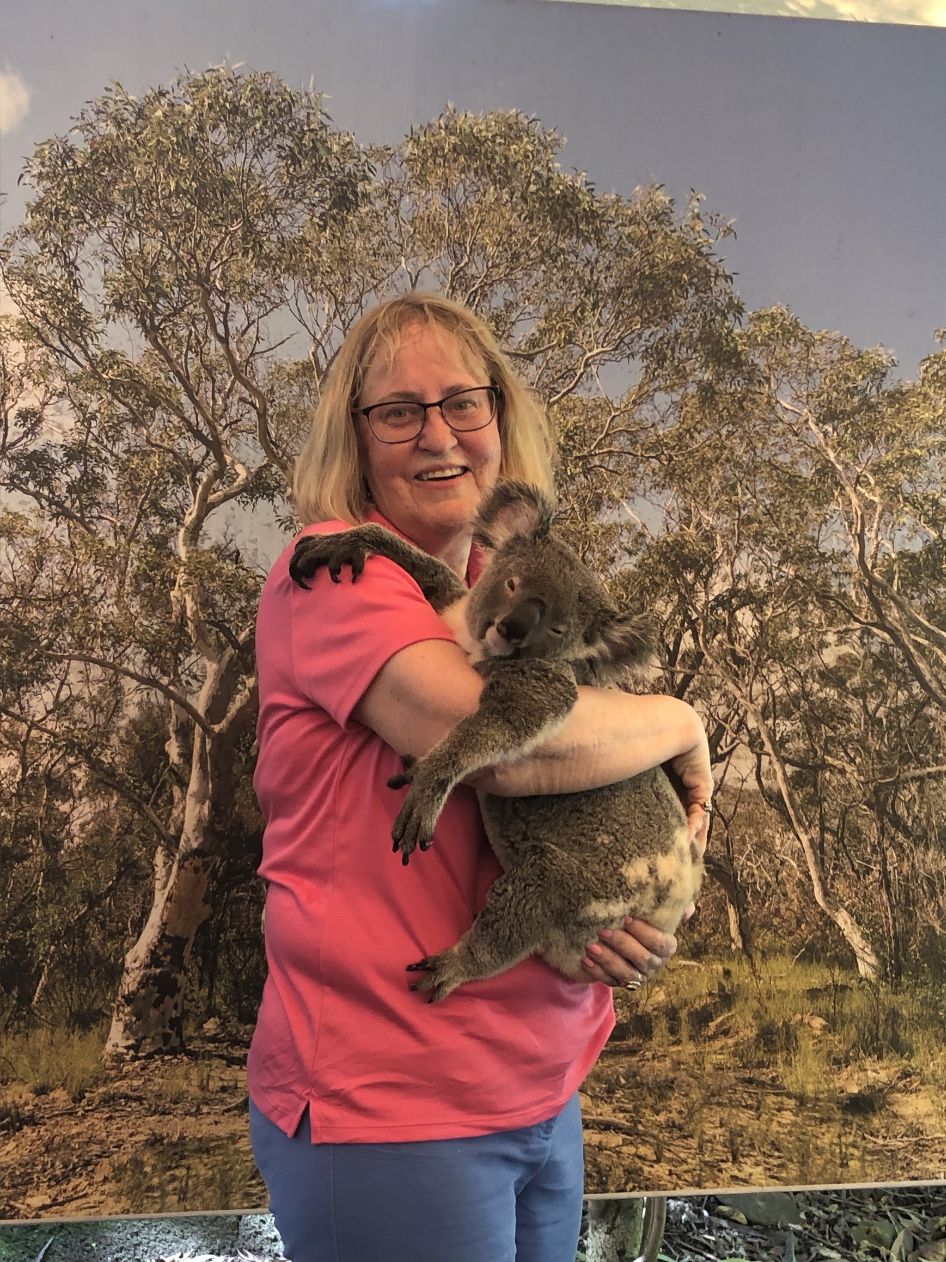 A person holding a koala with trees in the background.