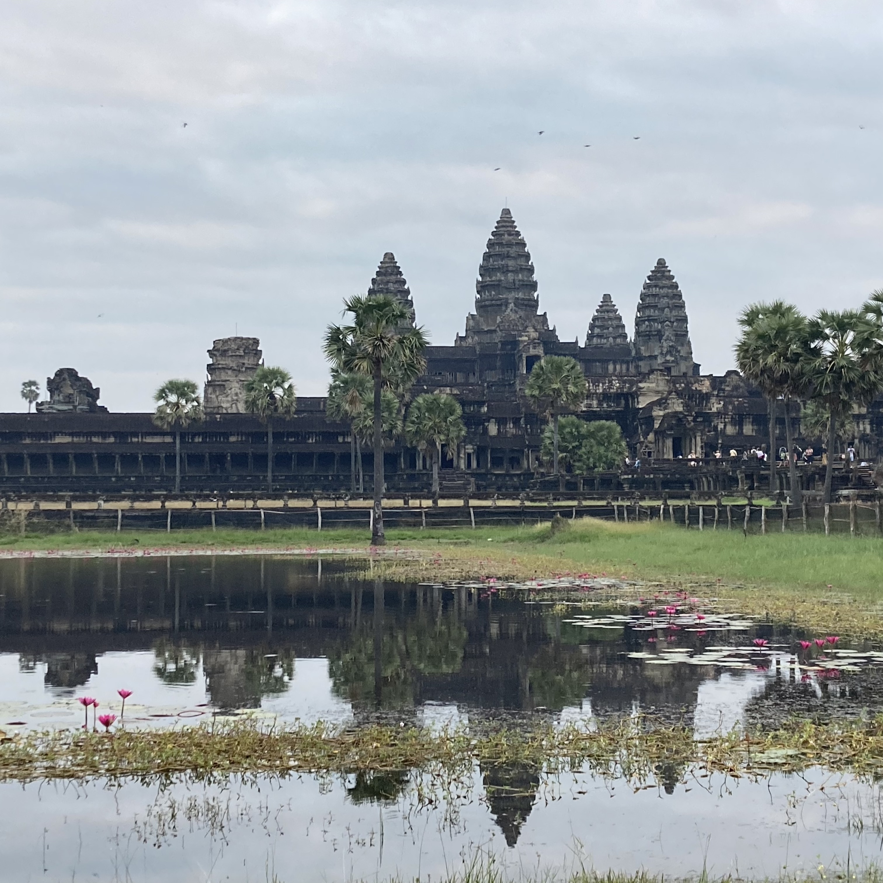 Ancient temple complex with water and palm trees in the foreground.