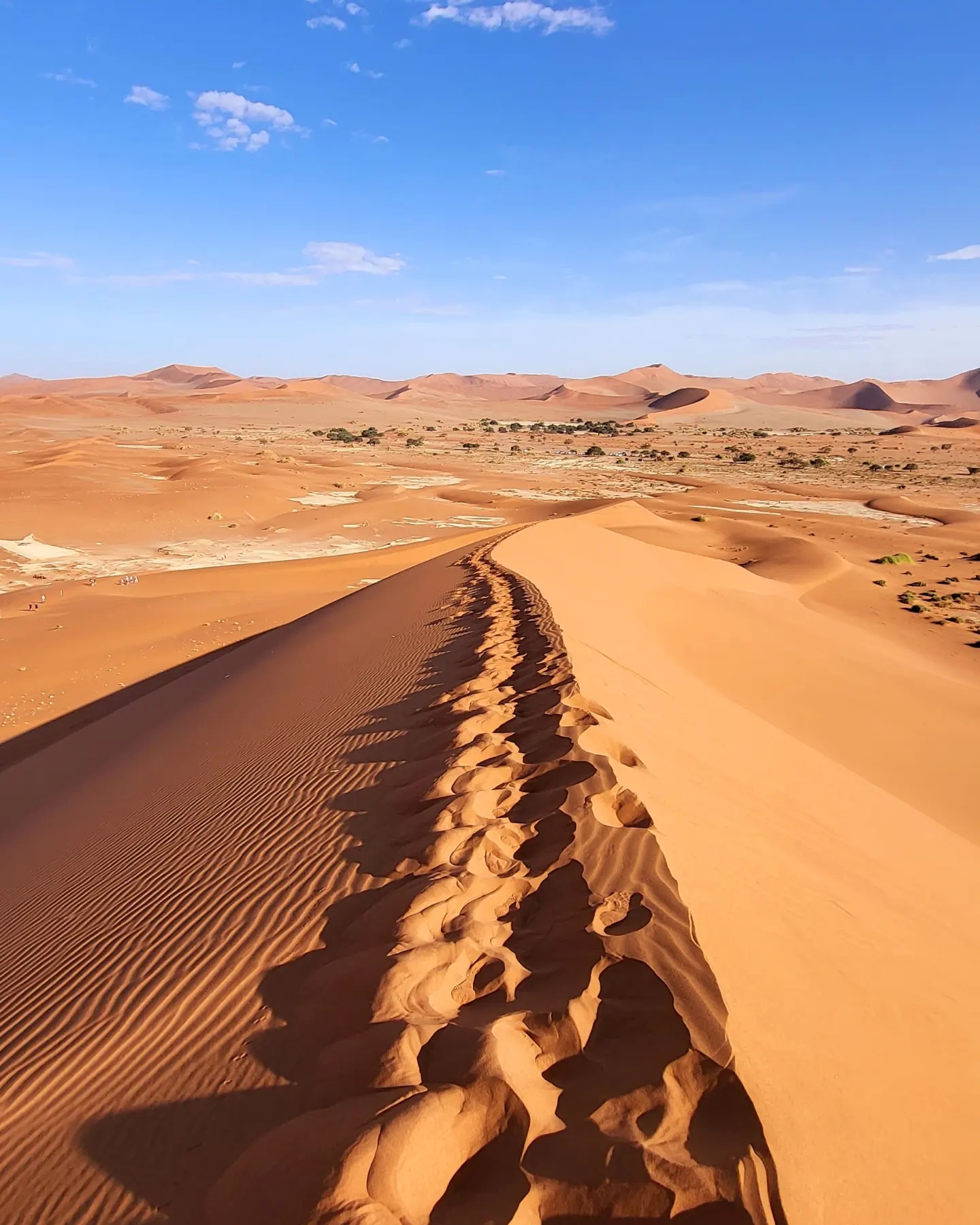 Expansive sand dunes under a clear sky.