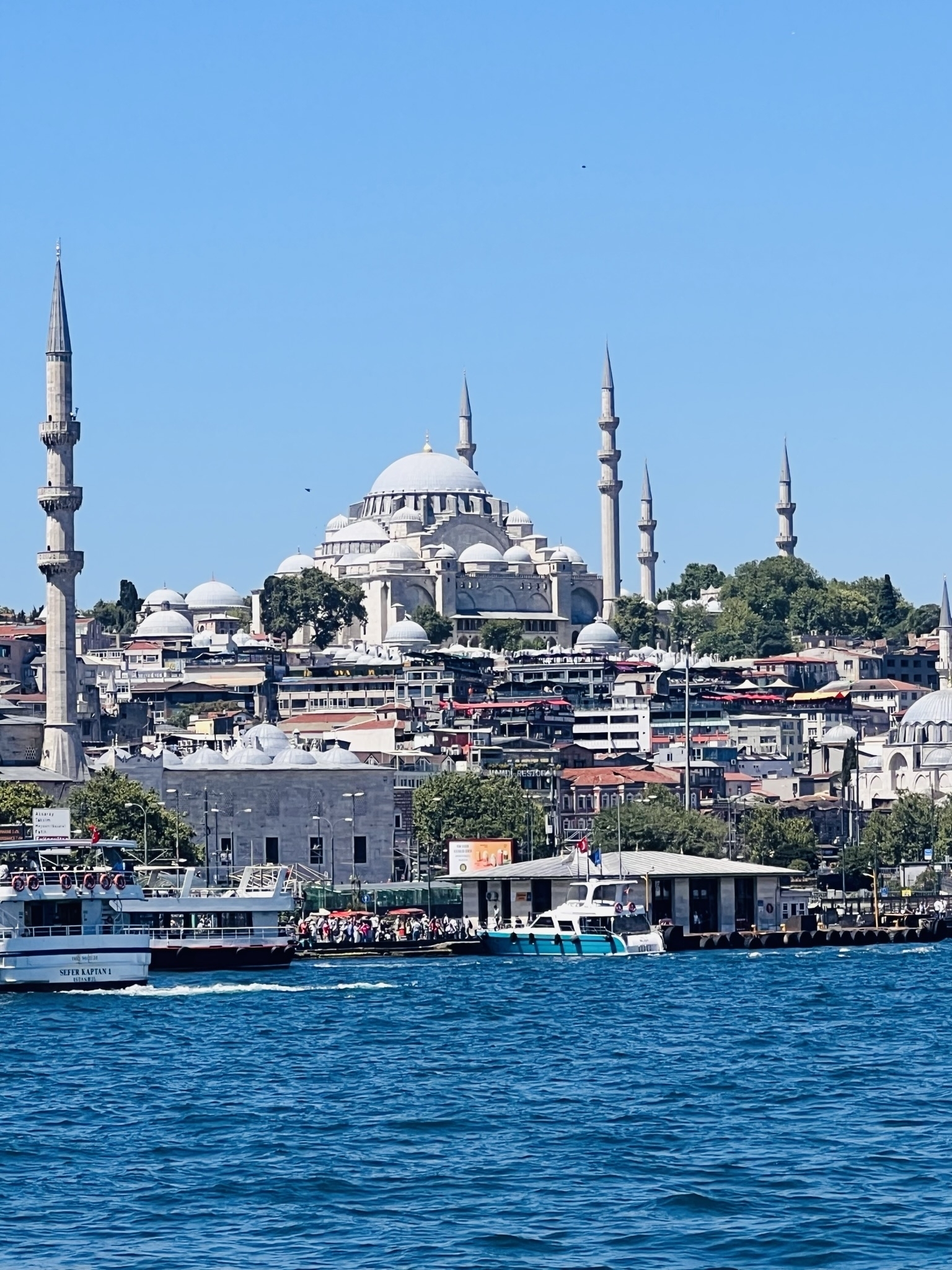 Panoramic view of a large mosque with minarets.