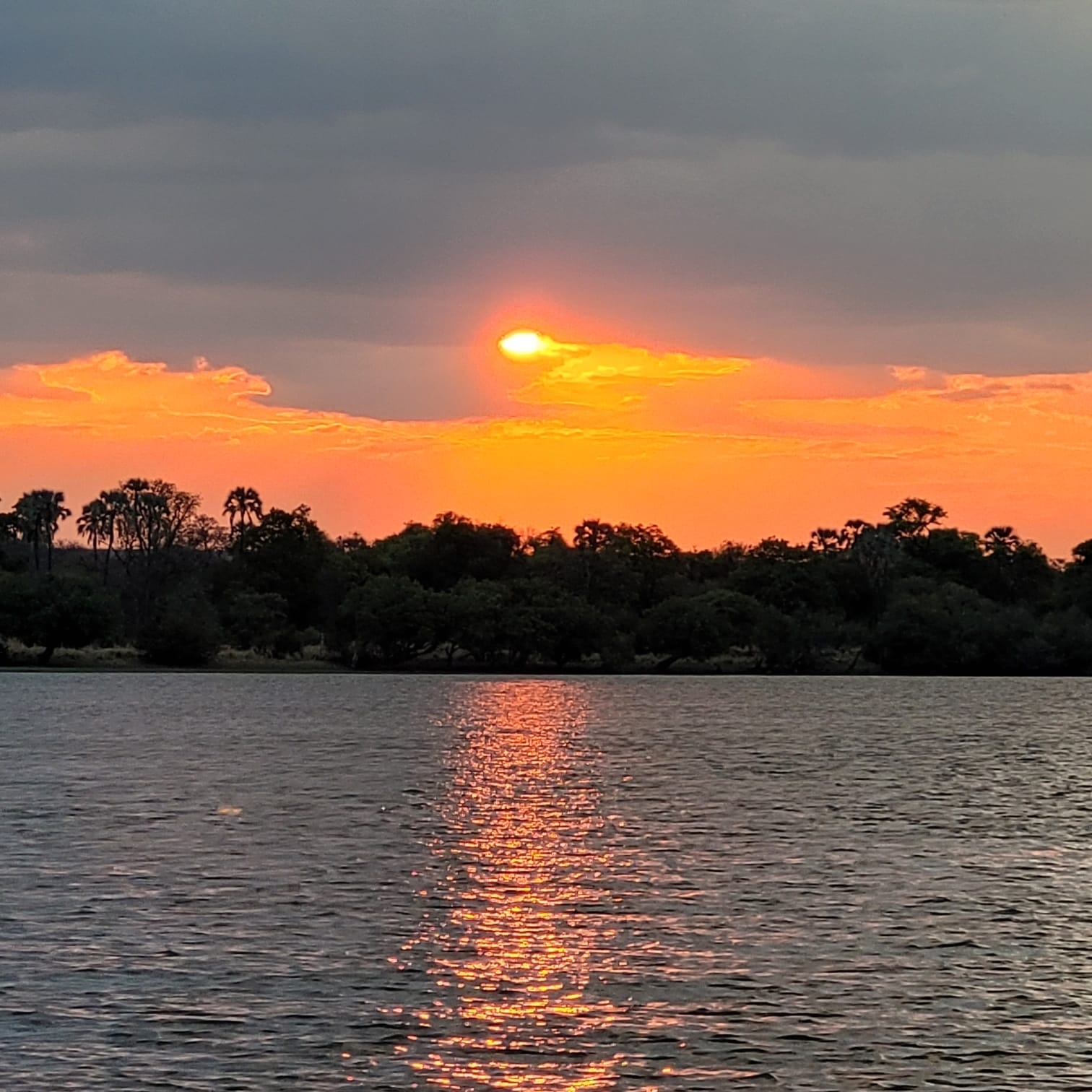 Bright orange sunset over a calm river and silhouetted trees.