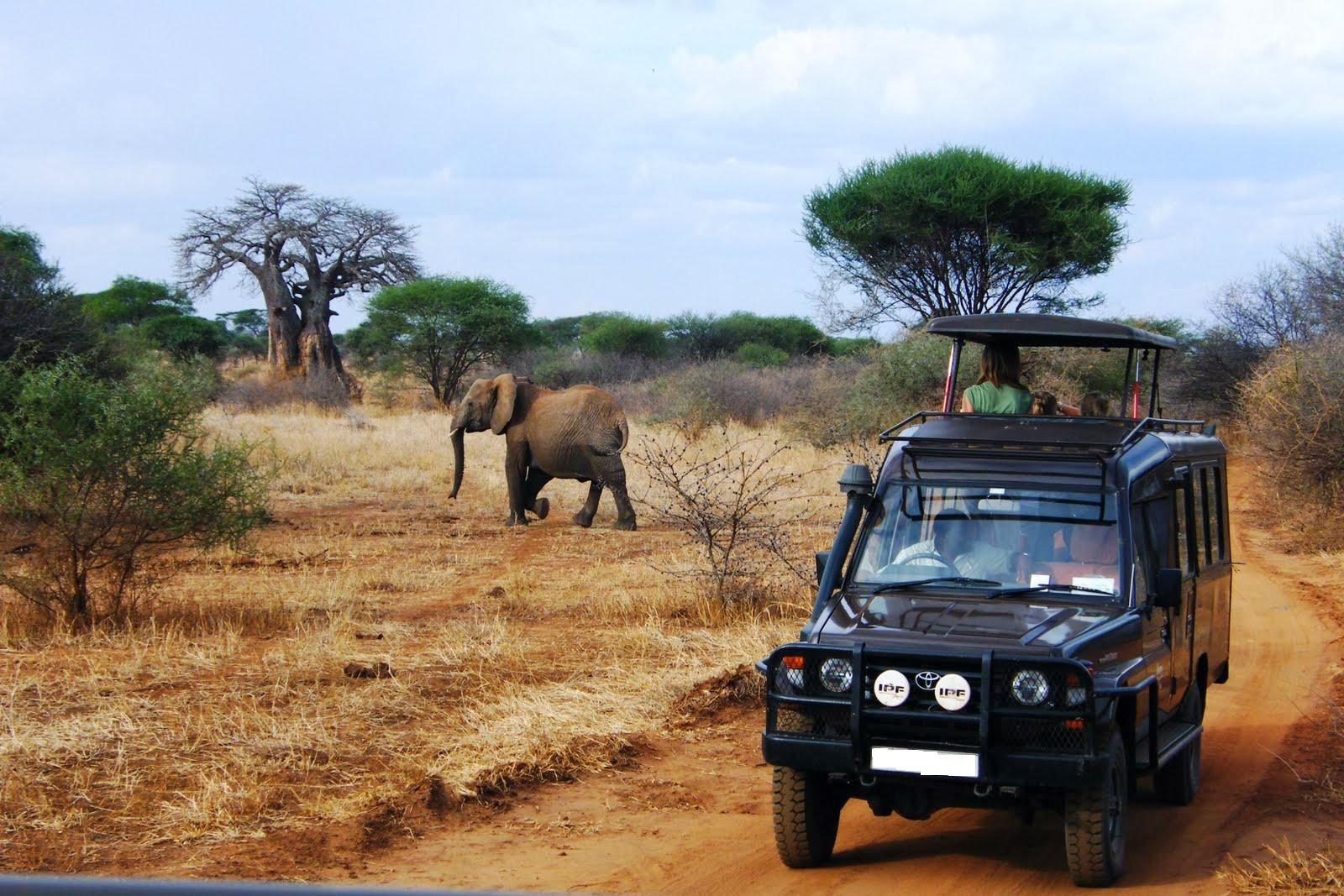 tanzania and kenya safari tours