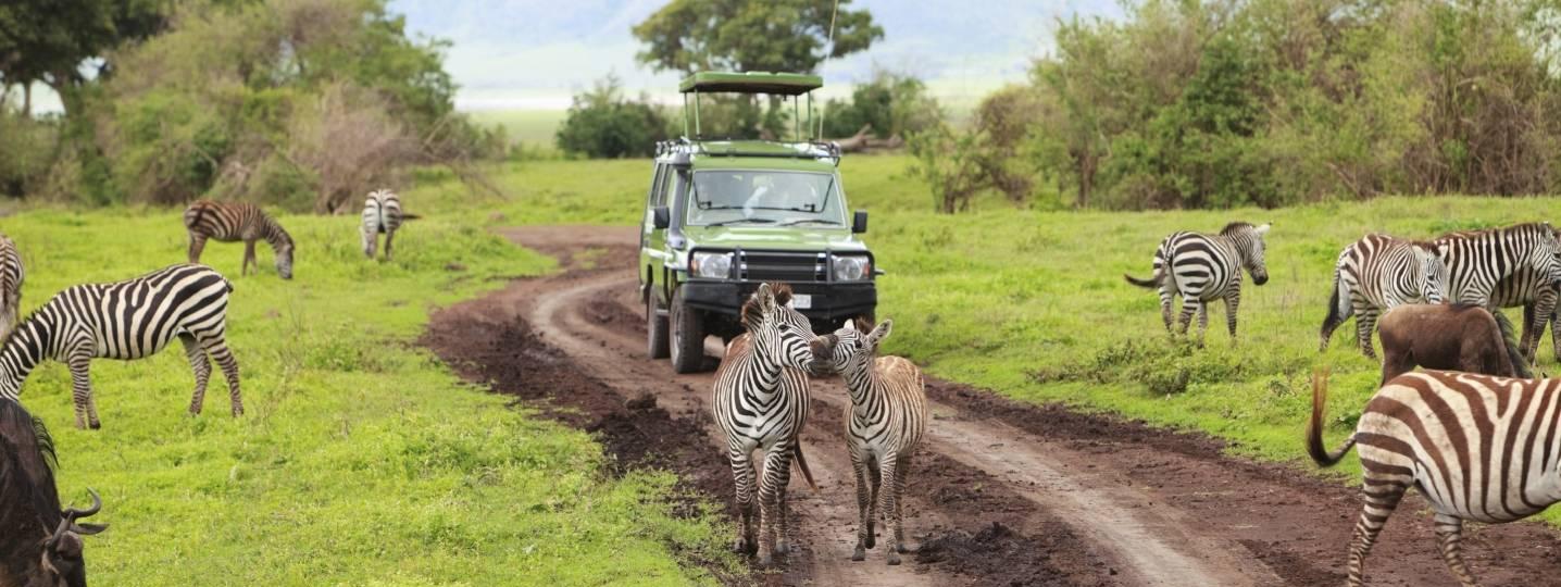 10 Amazing Self Drive Tours And Trips 20192020 Biggest Selection Best Prices Tourradar 1018