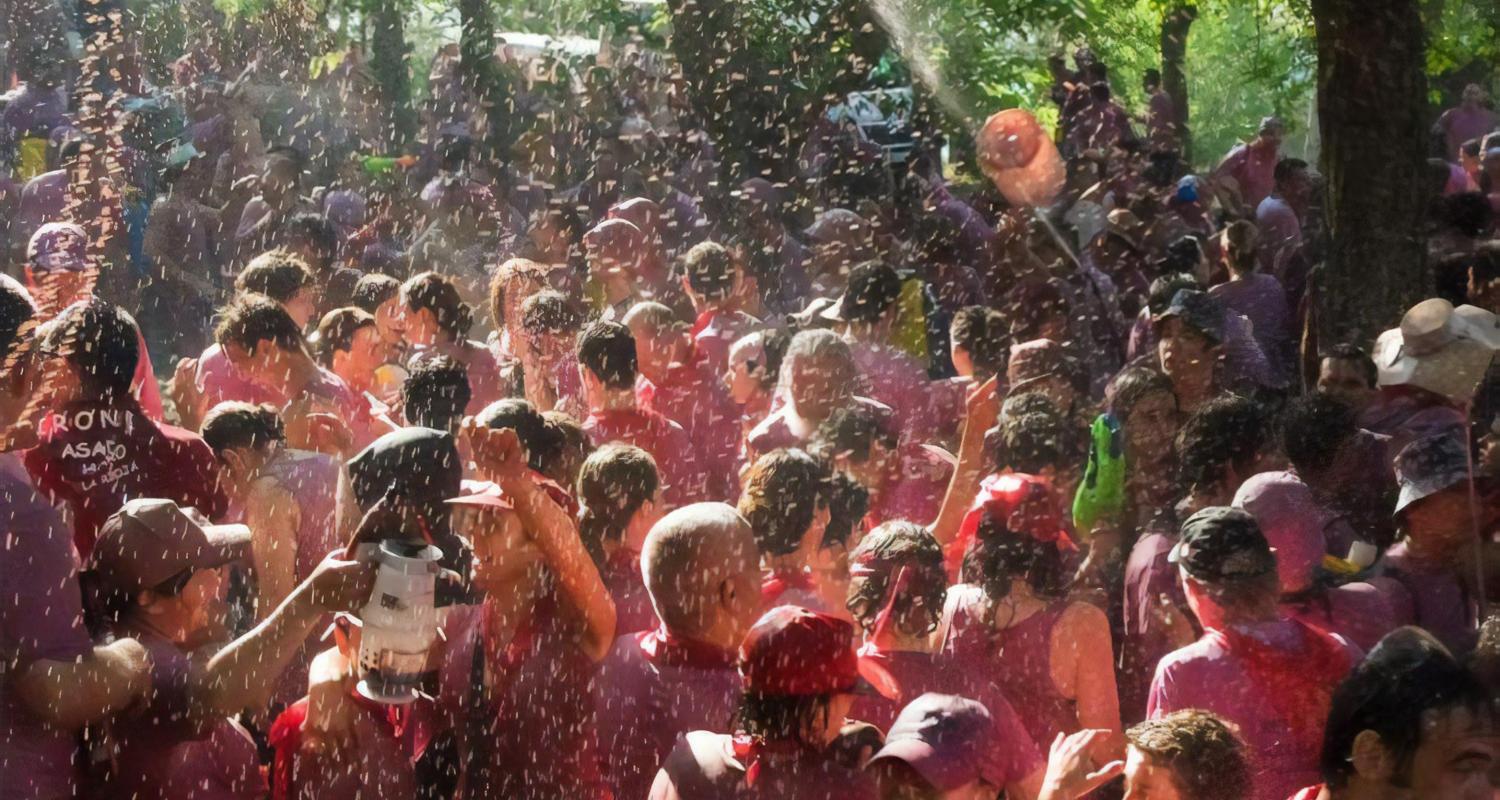 Batalla Del Vino Tours & Trips