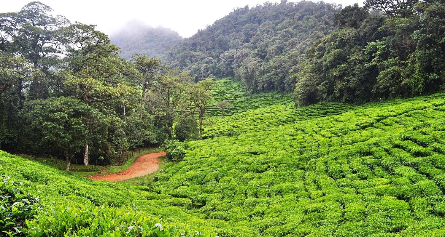 Circuits et voyages en Colombie