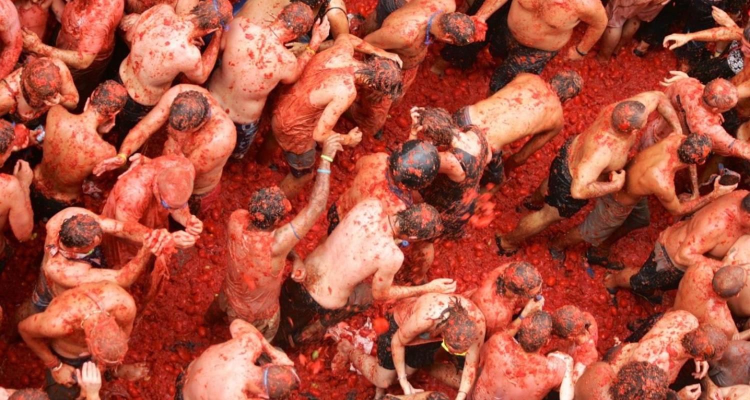 Circuitos y viajes de Tomatina