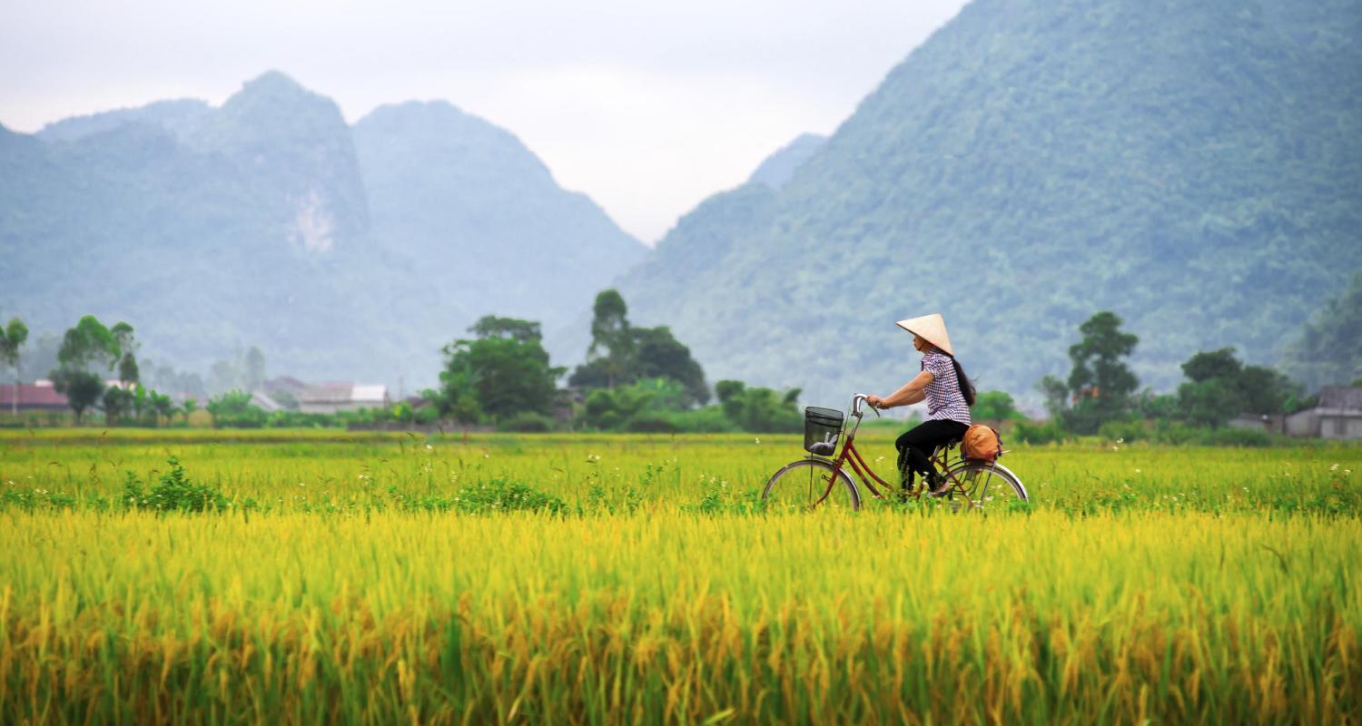 Southern Vietnam Tours & Trips