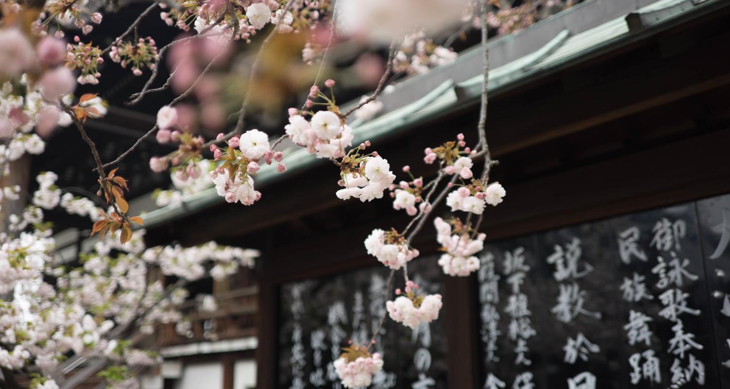 Circuits en Sud du Japon