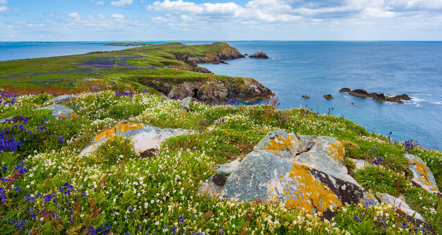 Ring of Kerry Rundreisen