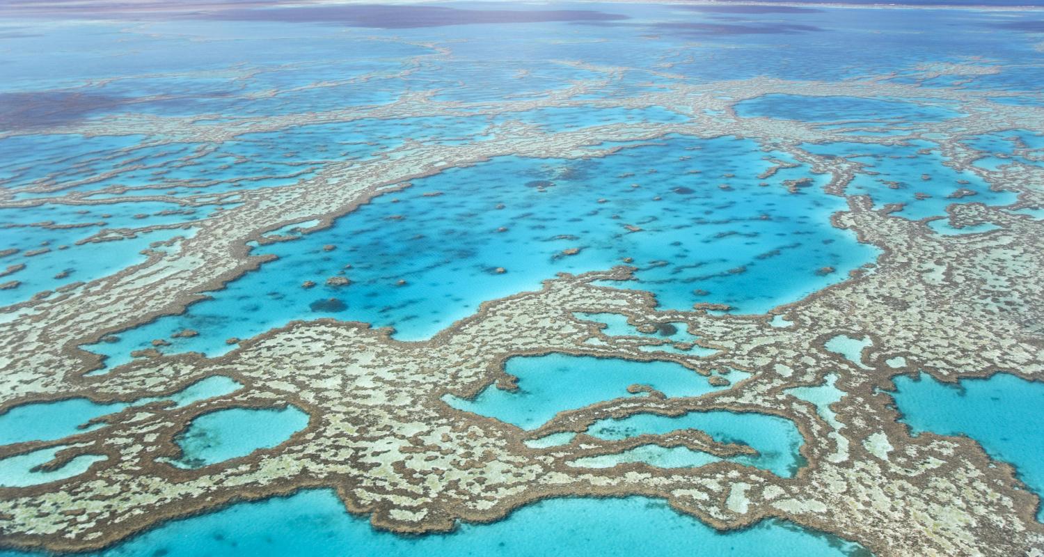 Great Barrier Reef Tours & Trips