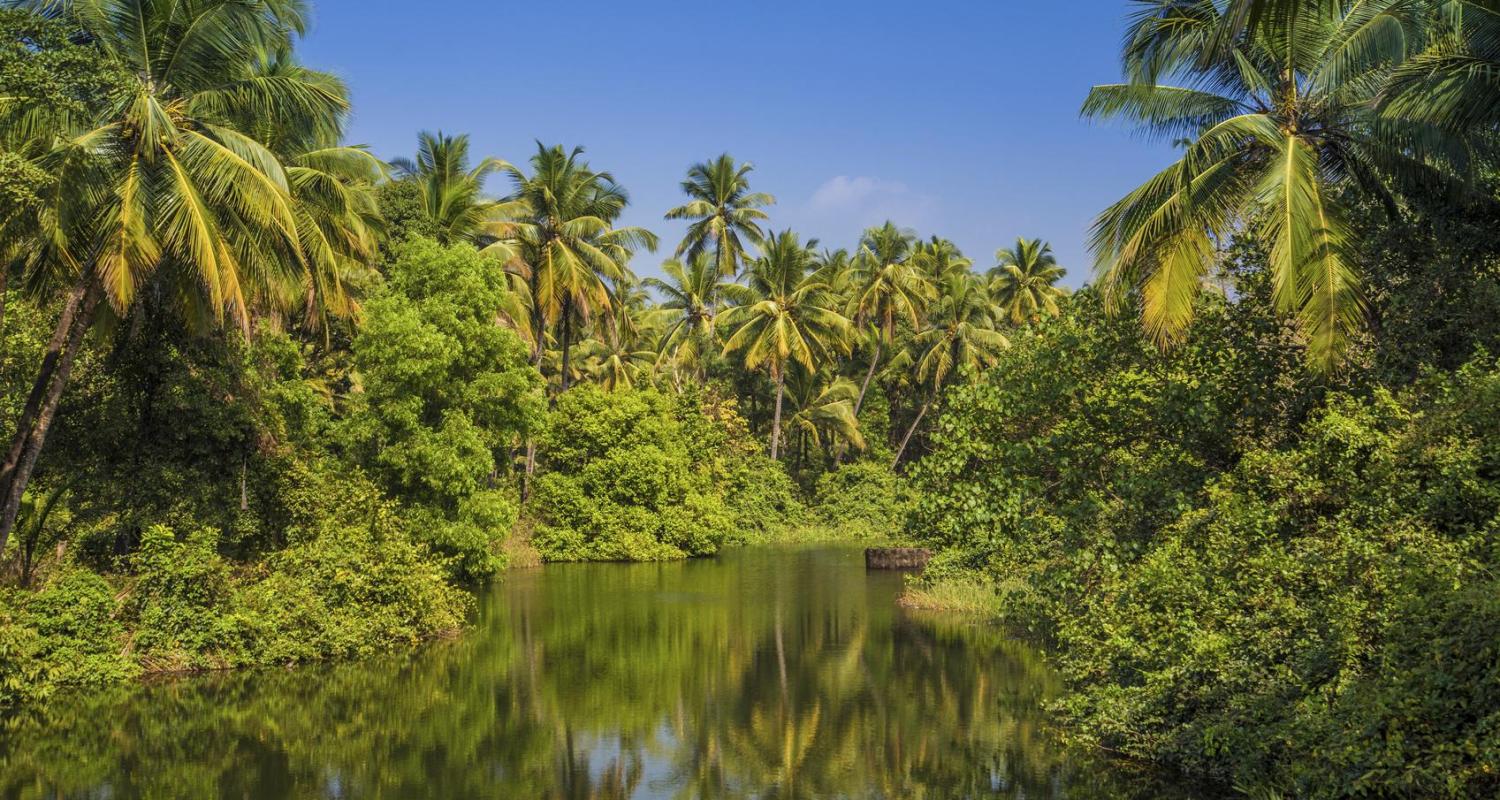 Kerala Tours & Trips